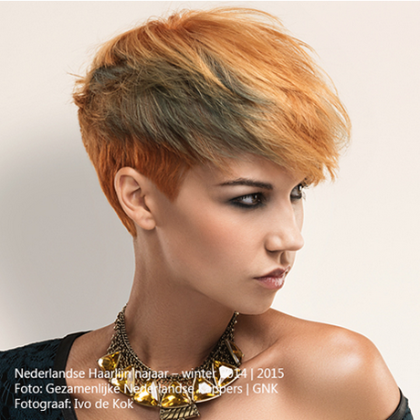 haarmode-kleur-2015-69 Haarmode kleur 2015