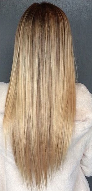 blond-haar-met-donkere-highlights-81_4 Blond haar met donkere highlights