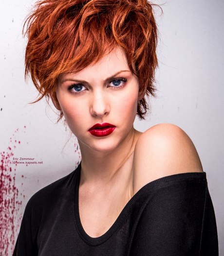 kort-haar-rood-71_2 Kort haar rood